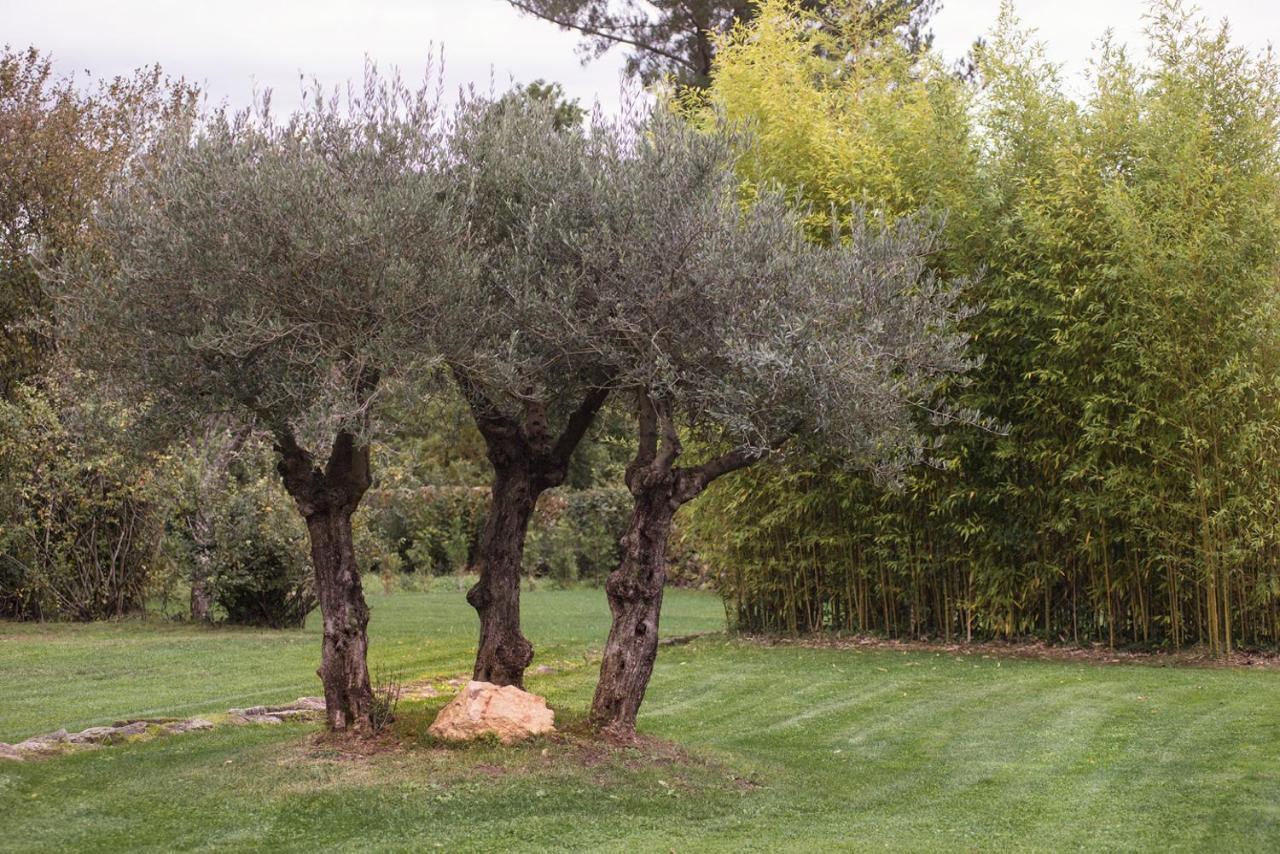 Гостевой дом Jardines Pazo A Fabrica Селанова Экстерьер фото